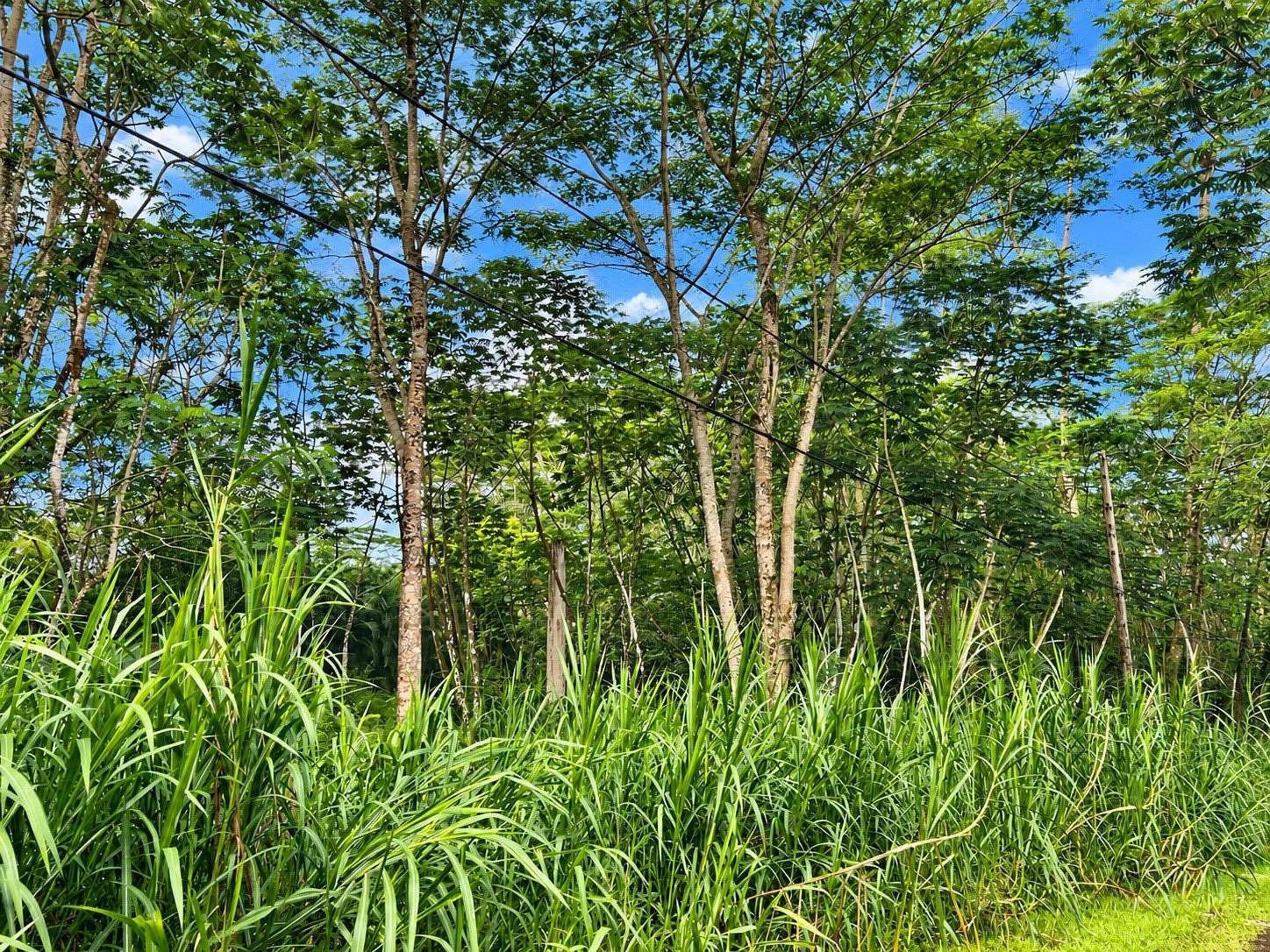 0.19 Acres of Residential Land for Sale in Pahoa, Hawaii