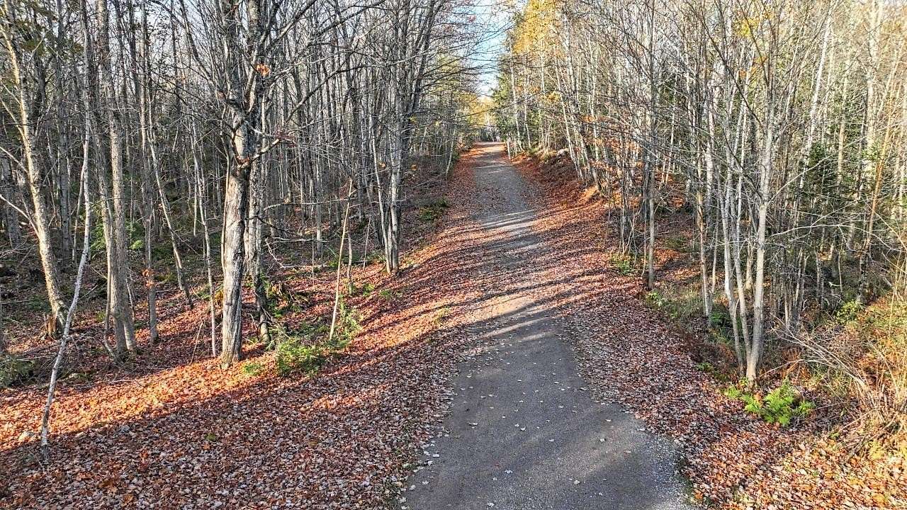 56.5 Acres of Recreational & Residential Land for Sale in Mercer, Wisconsin