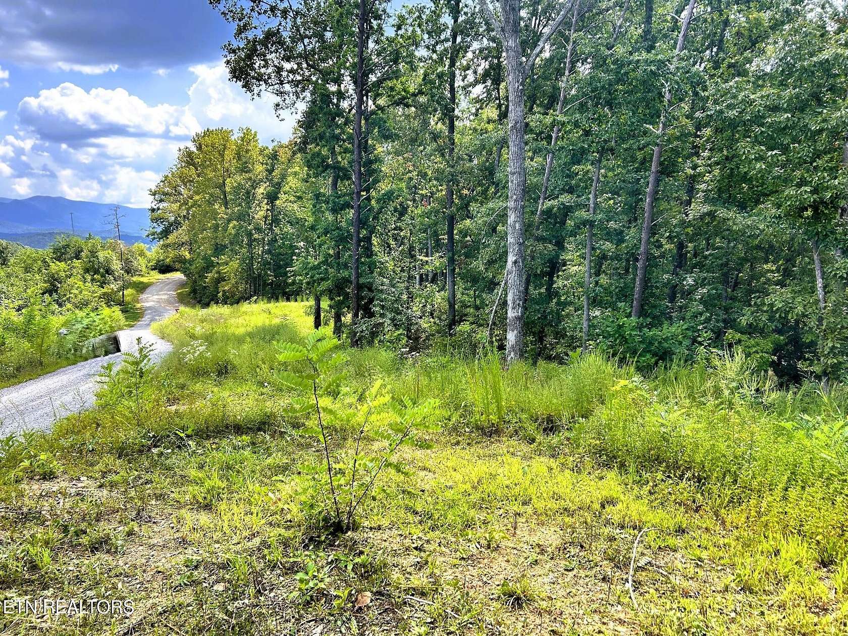 1 Acre of Residential Land for Sale in Reliance, Tennessee