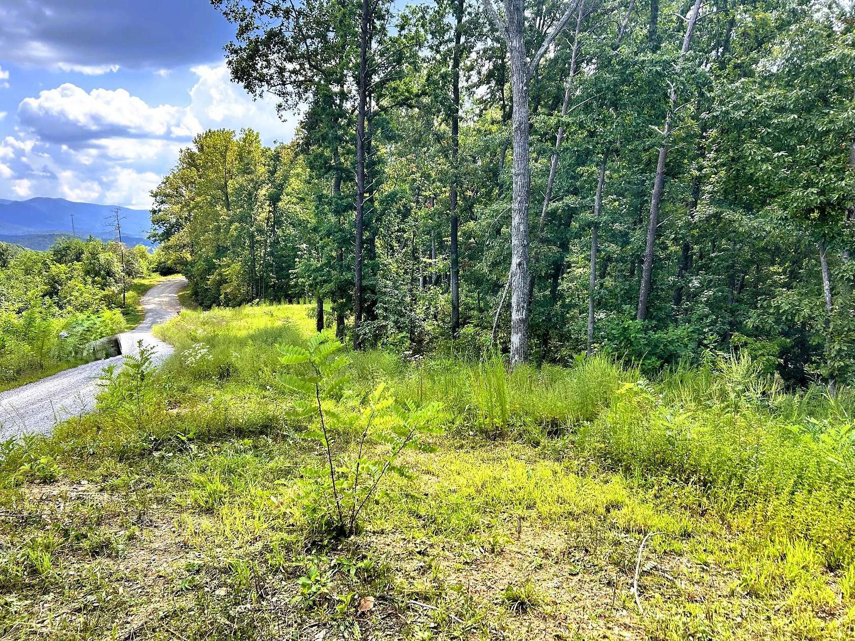 1.89 Acres of Residential Land for Sale in Reliance, Tennessee