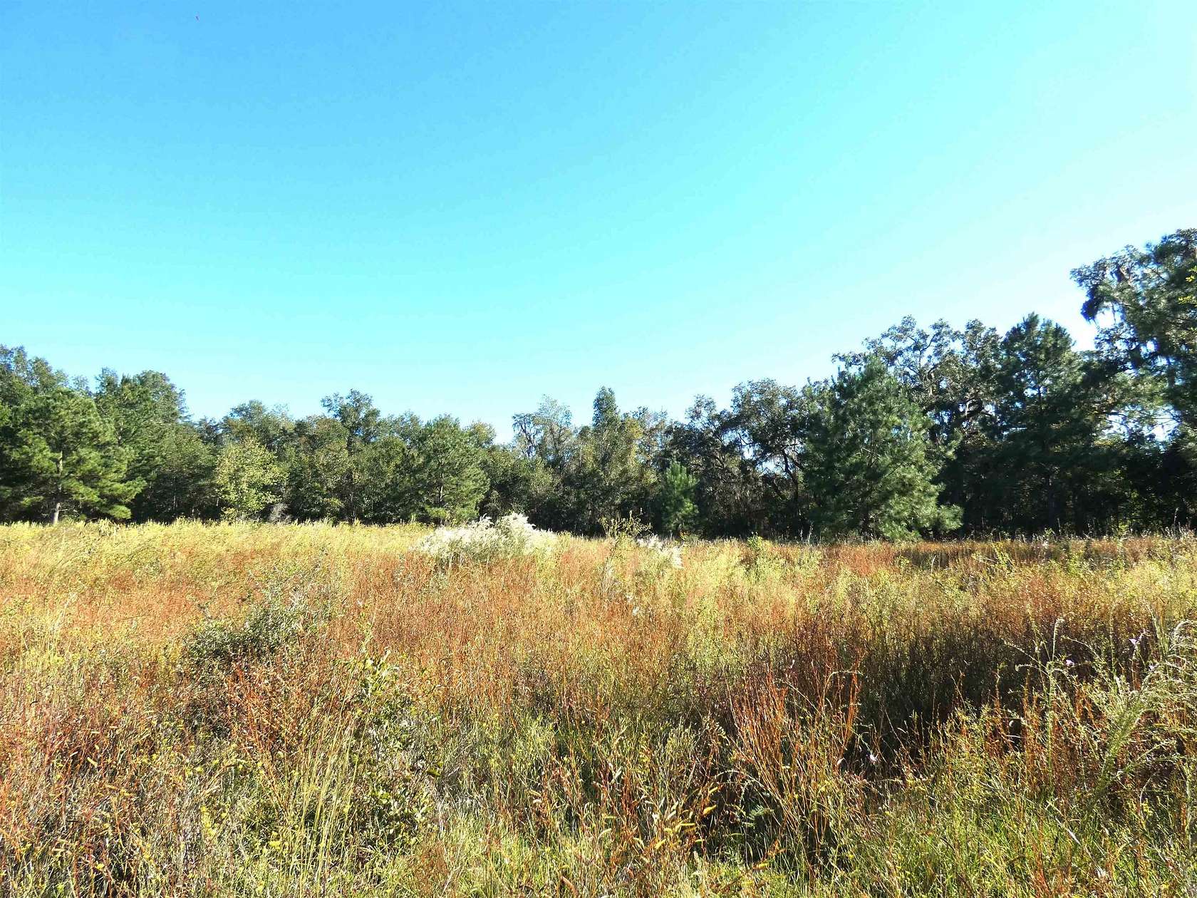 4.69 Acres of Land for Sale in Monticello, Florida