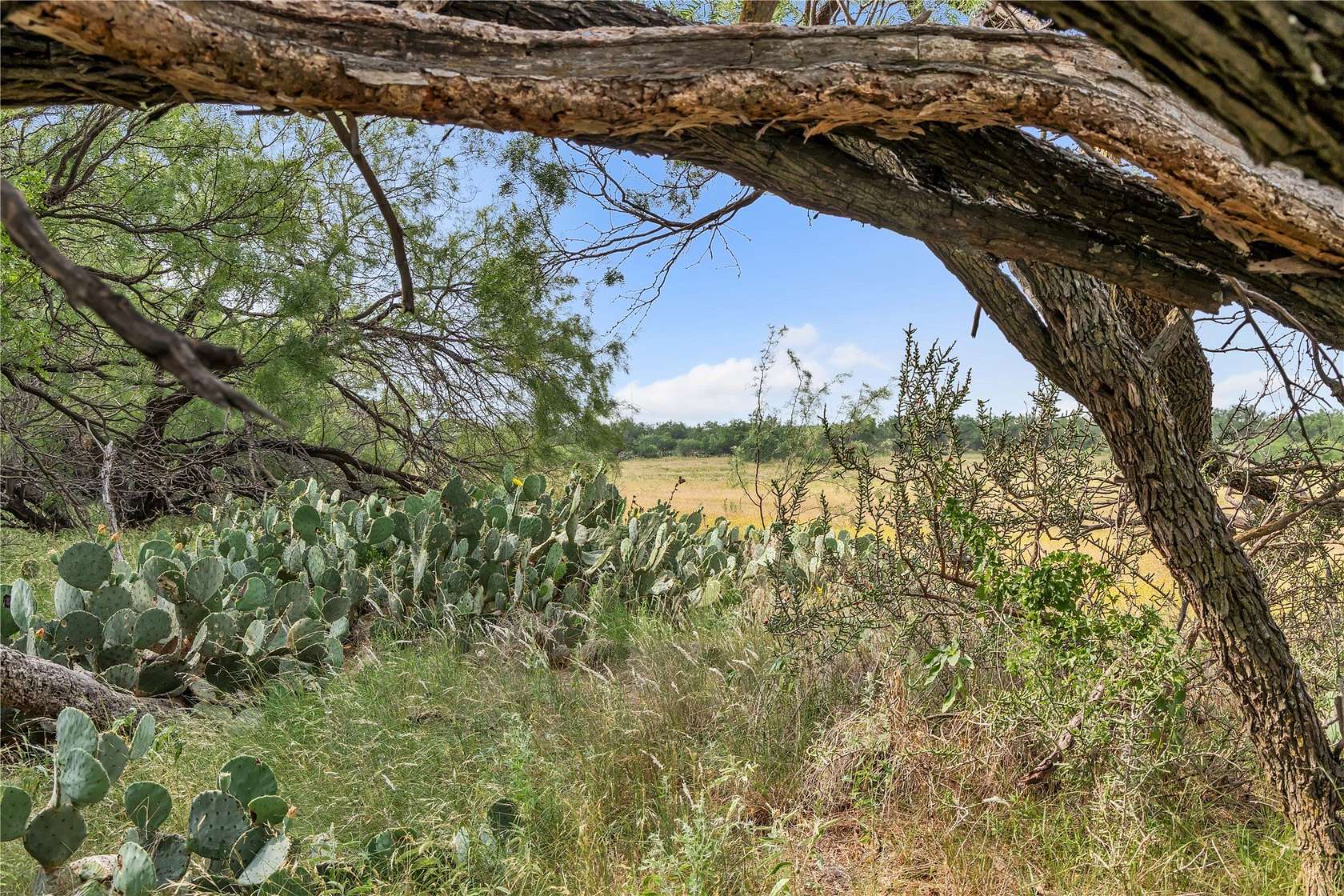 80 Acres of Land for Sale in Moran, Texas