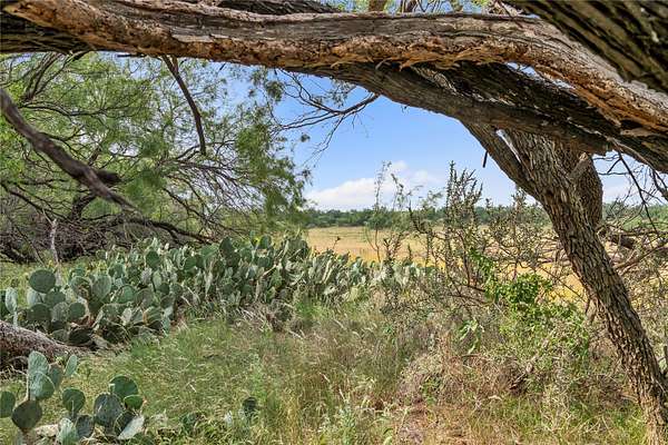 80 Acres of Land for Sale in Moran, Texas