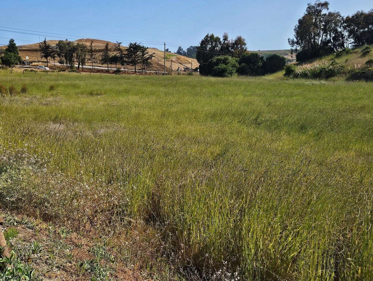 27 Acres of Improved Land for Sale in Watsonville, California