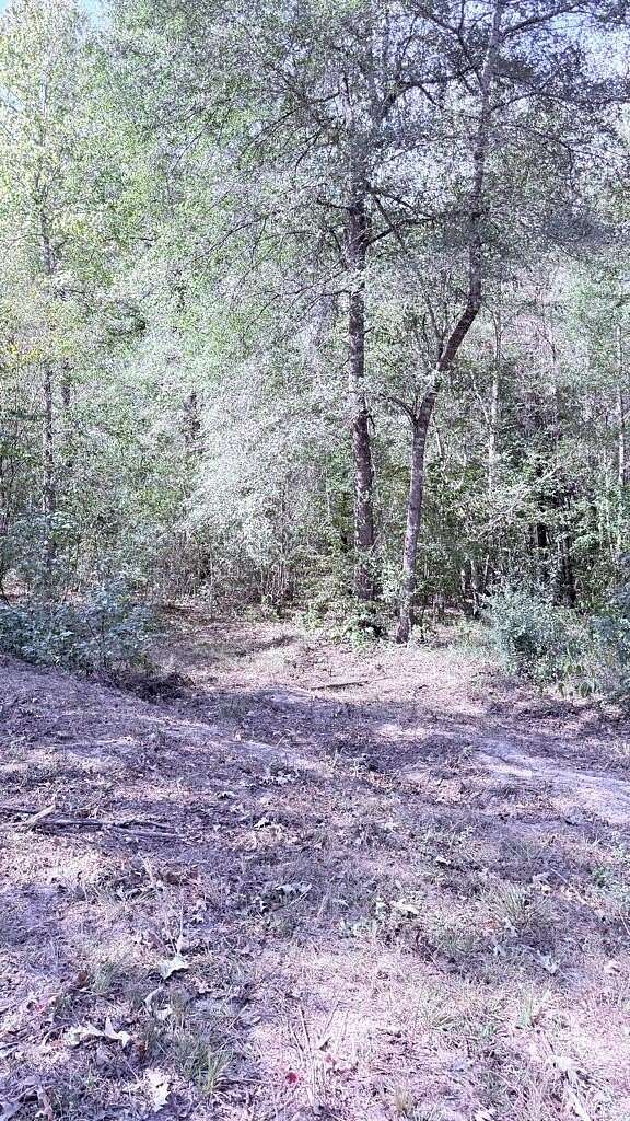 9 Acres of Residential Land for Sale in Wiergate, Texas