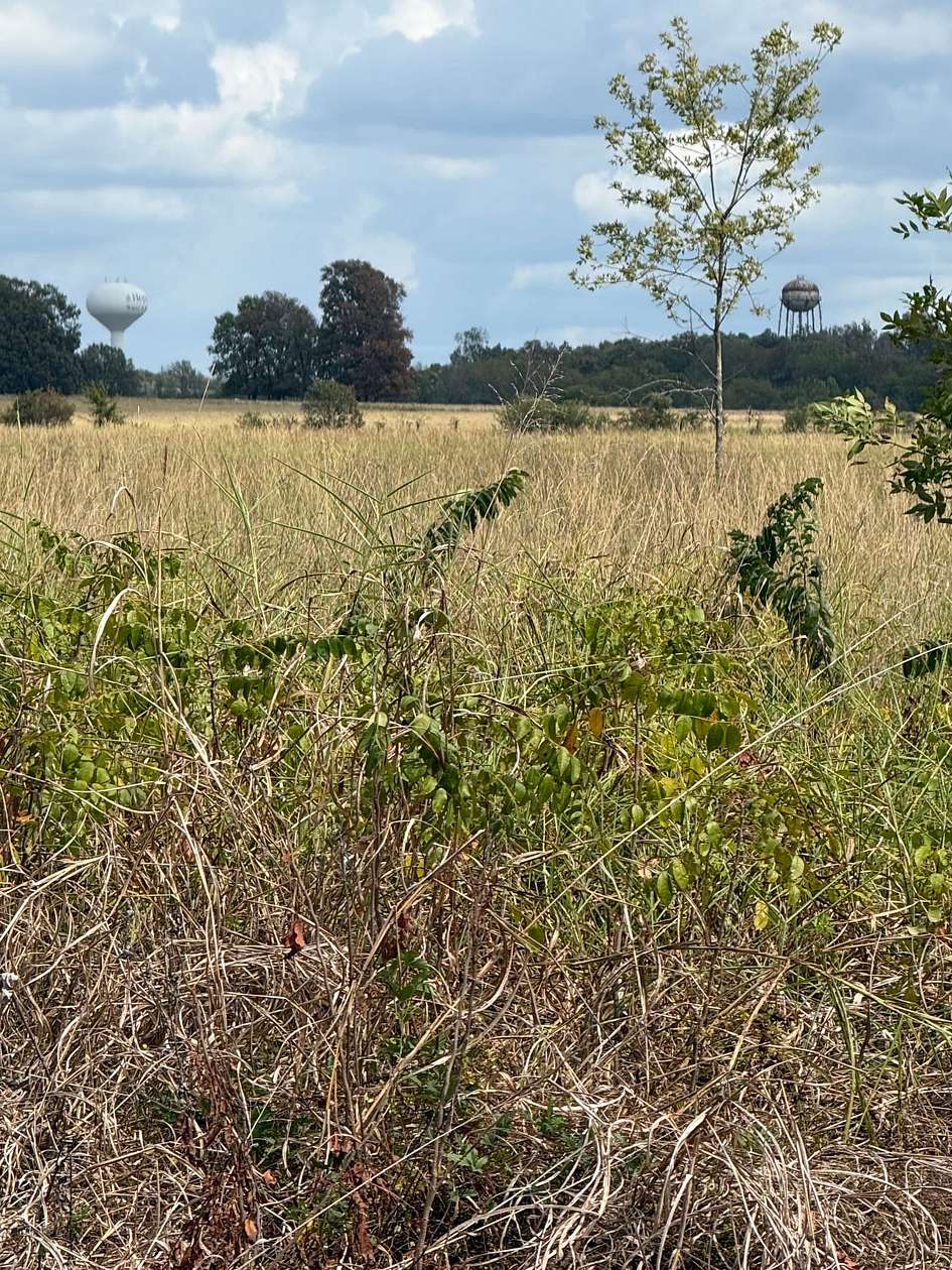 258 Acres of Improved Land for Sale in Hope, Arkansas