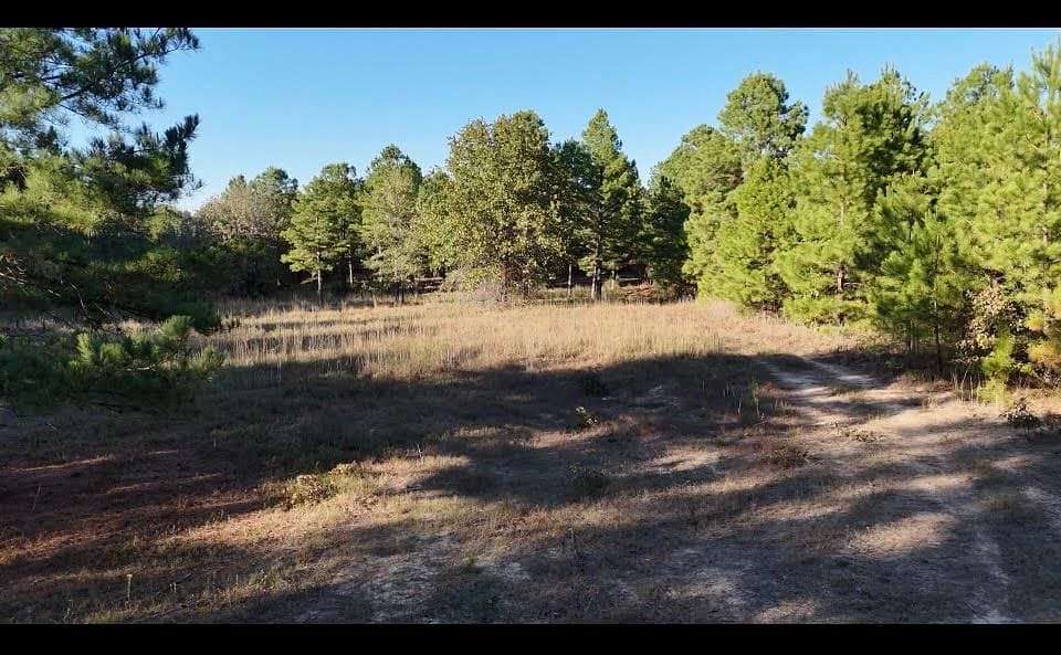 13.3 Acres of Recreational Land for Sale in Antlers, Oklahoma