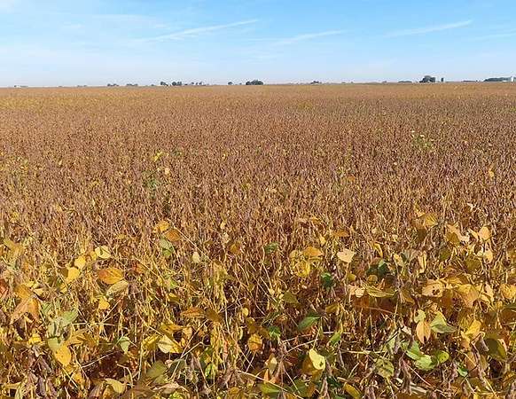 80 Acres of Land for Auction in Ottawa, Illinois