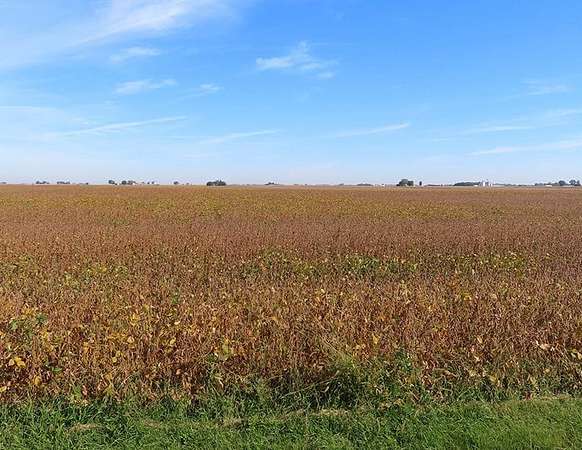 80 Acres of Land for Auction in Ottawa, Illinois