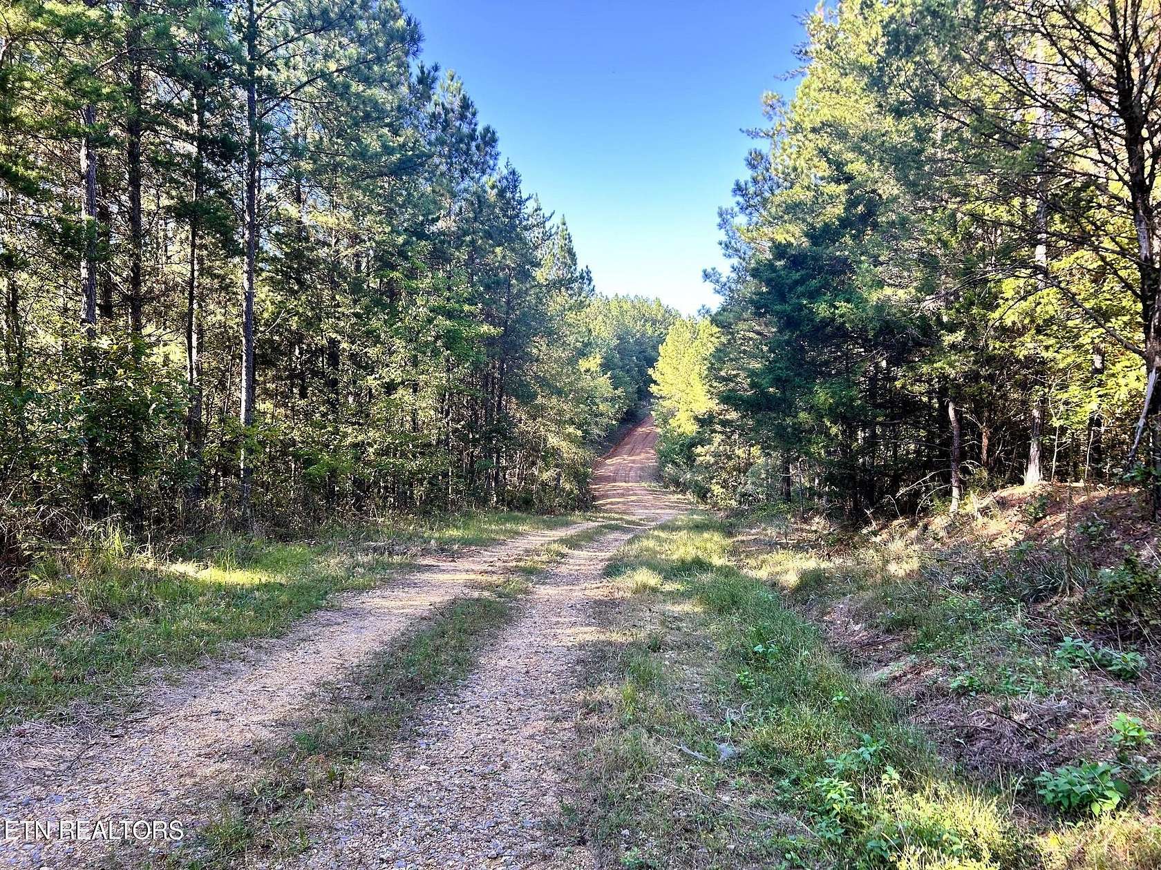 47.4 Acres of Recreational & Residential Land for Sale in Decatur, Tennessee
