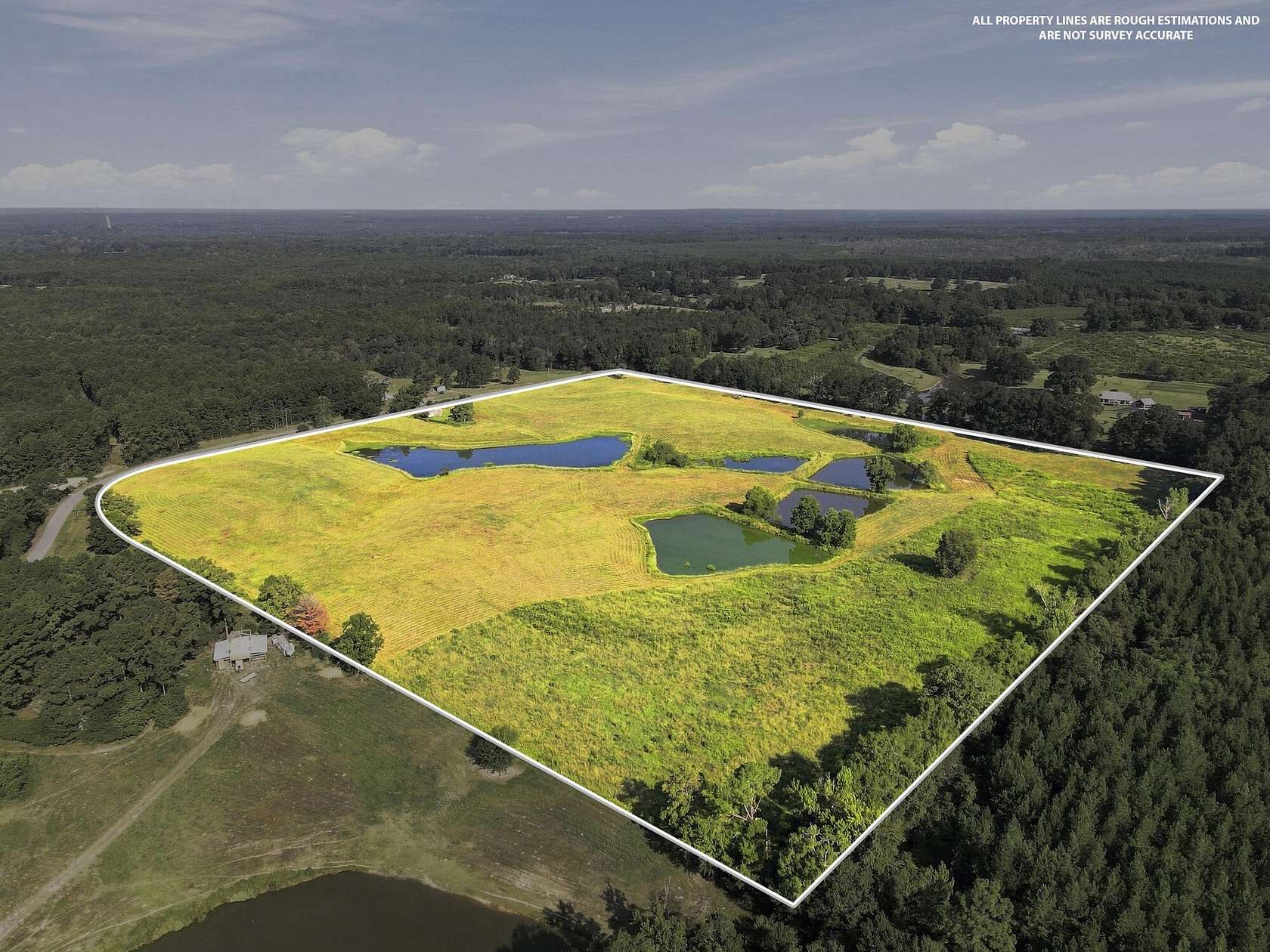 20.5 Acres of Land for Sale in Richton, Mississippi