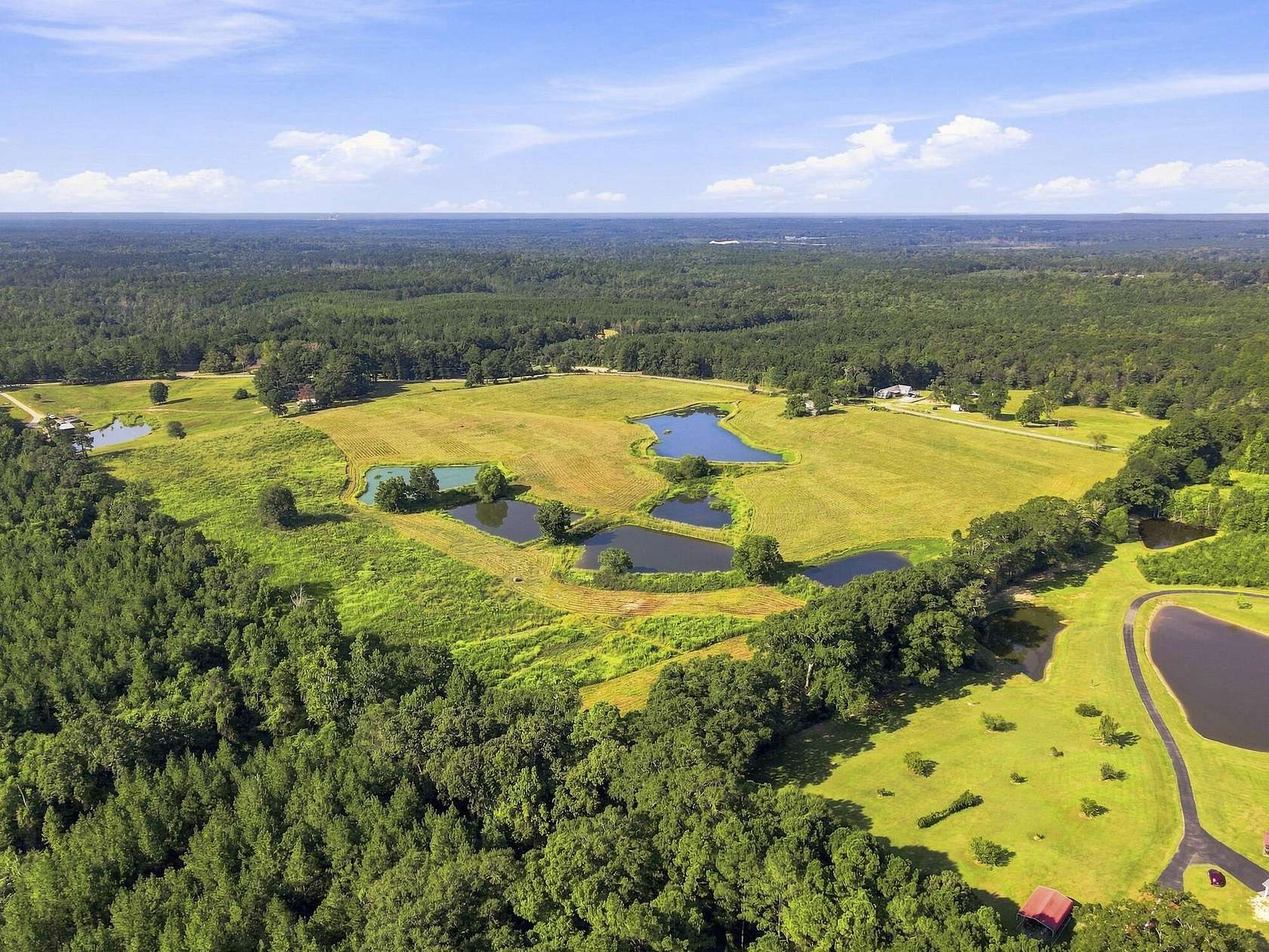 9 Acres of Land for Sale in Richton, Mississippi