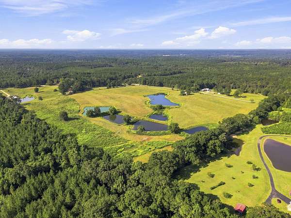 9 Acres of Land for Sale in Richton, Mississippi