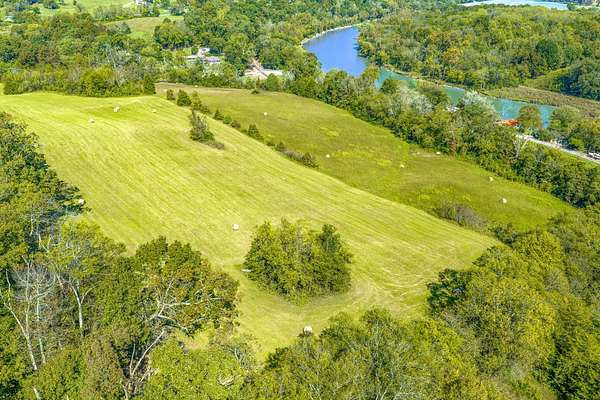 11.8 Acres of Land for Sale in White Pine, Tennessee