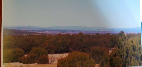 186 Acres of Land for Sale in Milagro, New Mexico