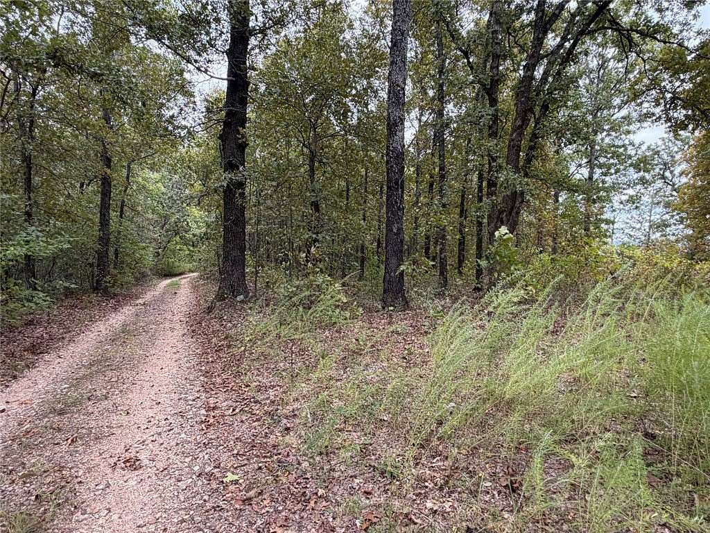 3 Acres of Land for Sale in St. Joe, Arkansas