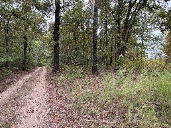 3 Acres of Land for Sale in St. Joe, Arkansas