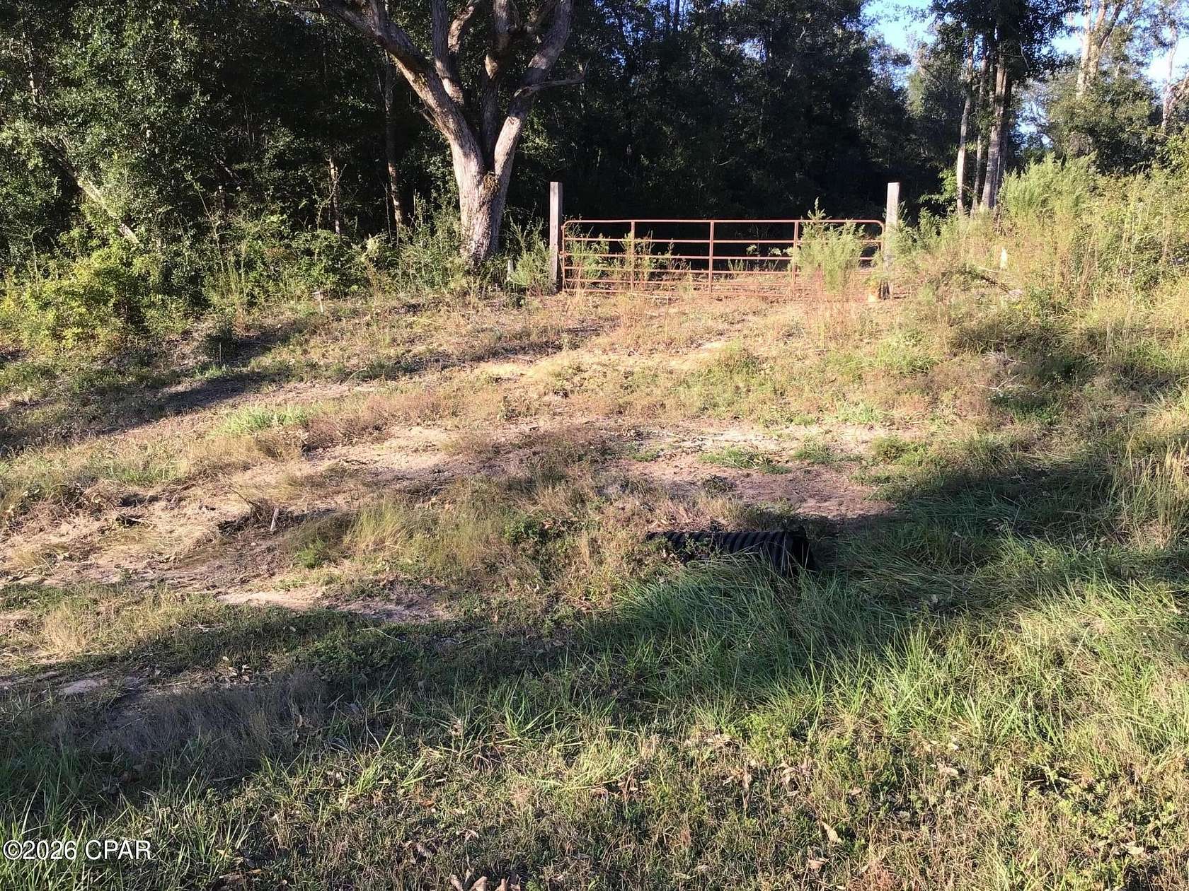 17 Acres of Recreational & Residential Land for Sale in Caryville, Florida