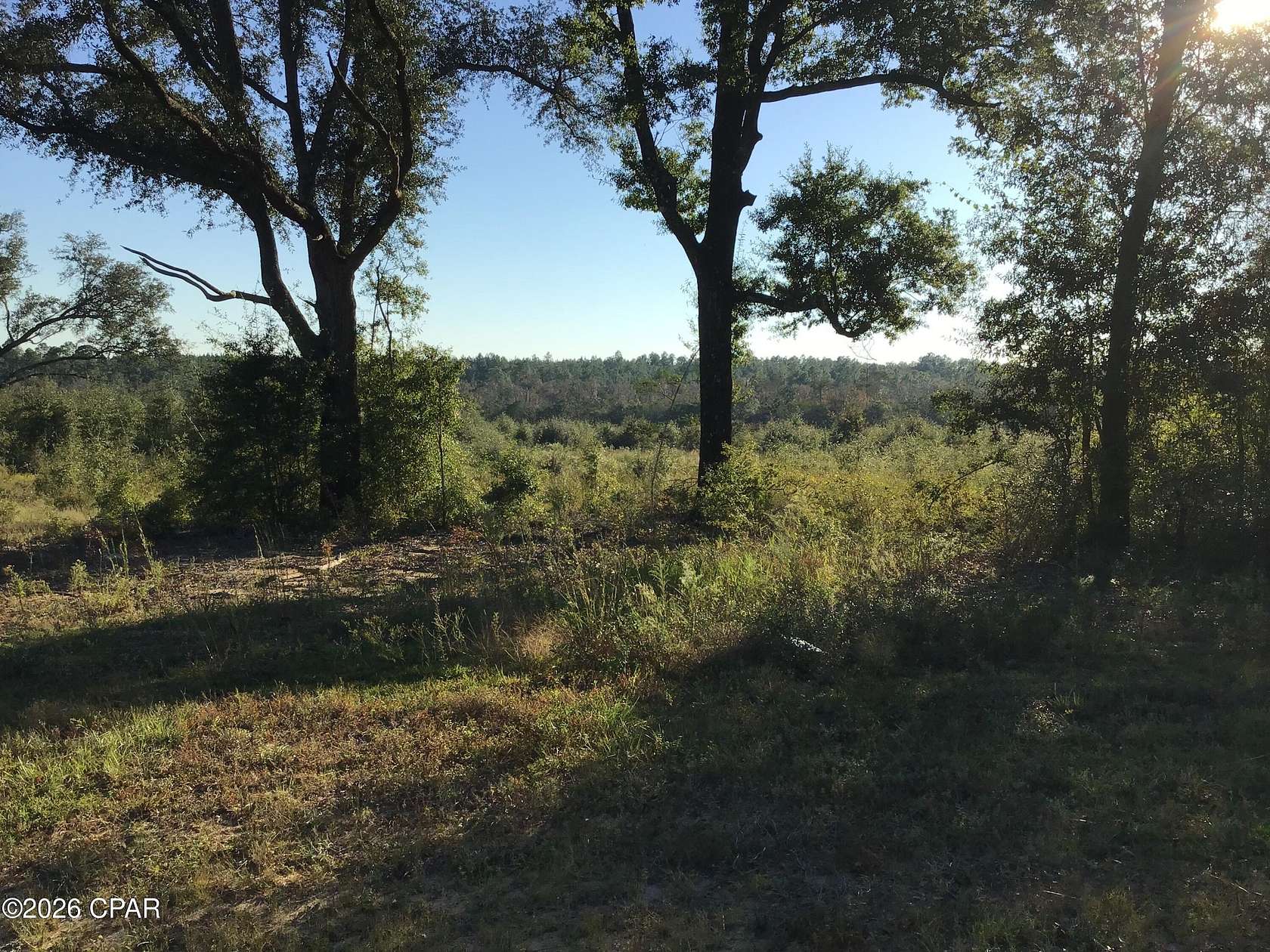 1.25 Acres of Residential Land for Sale in Caryville, Florida