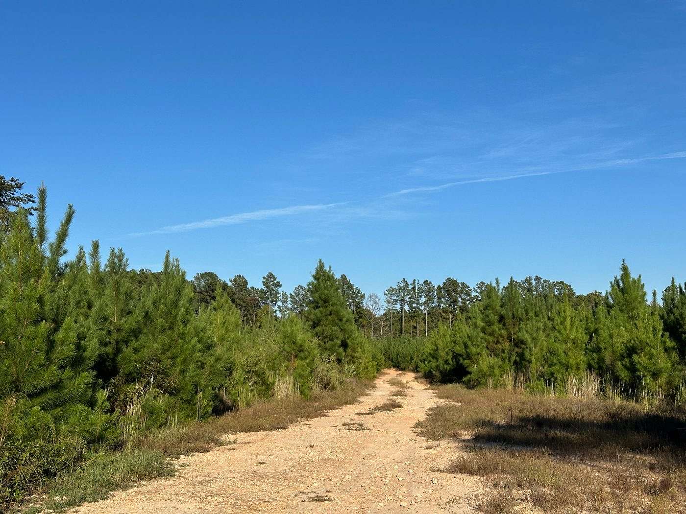 379 Acres of Recreational Land for Sale in Leeds, South Carolina
