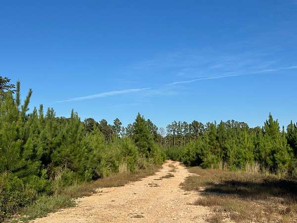 379 Acres of Recreational Land for Sale in Leeds, South Carolina
