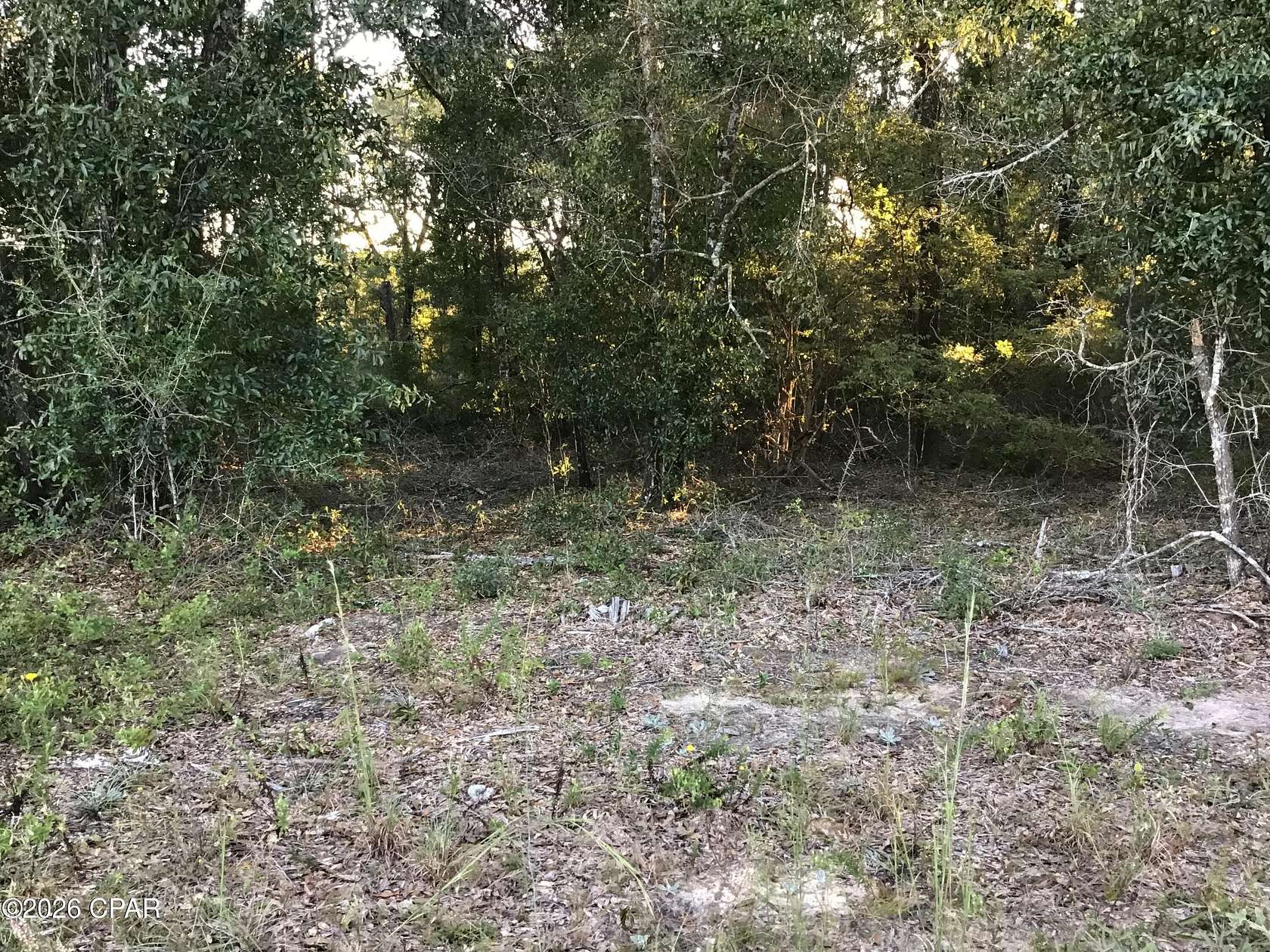 2.17 Acres of Residential Land for Sale in Caryville, Florida