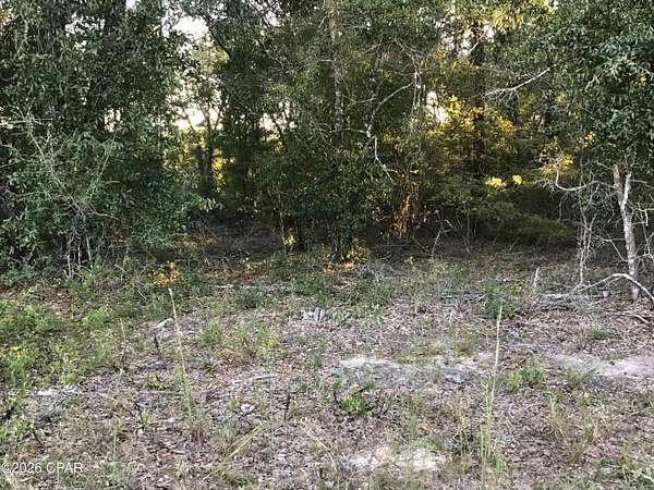 2.17 Acres of Residential Land for Sale in Caryville, Florida