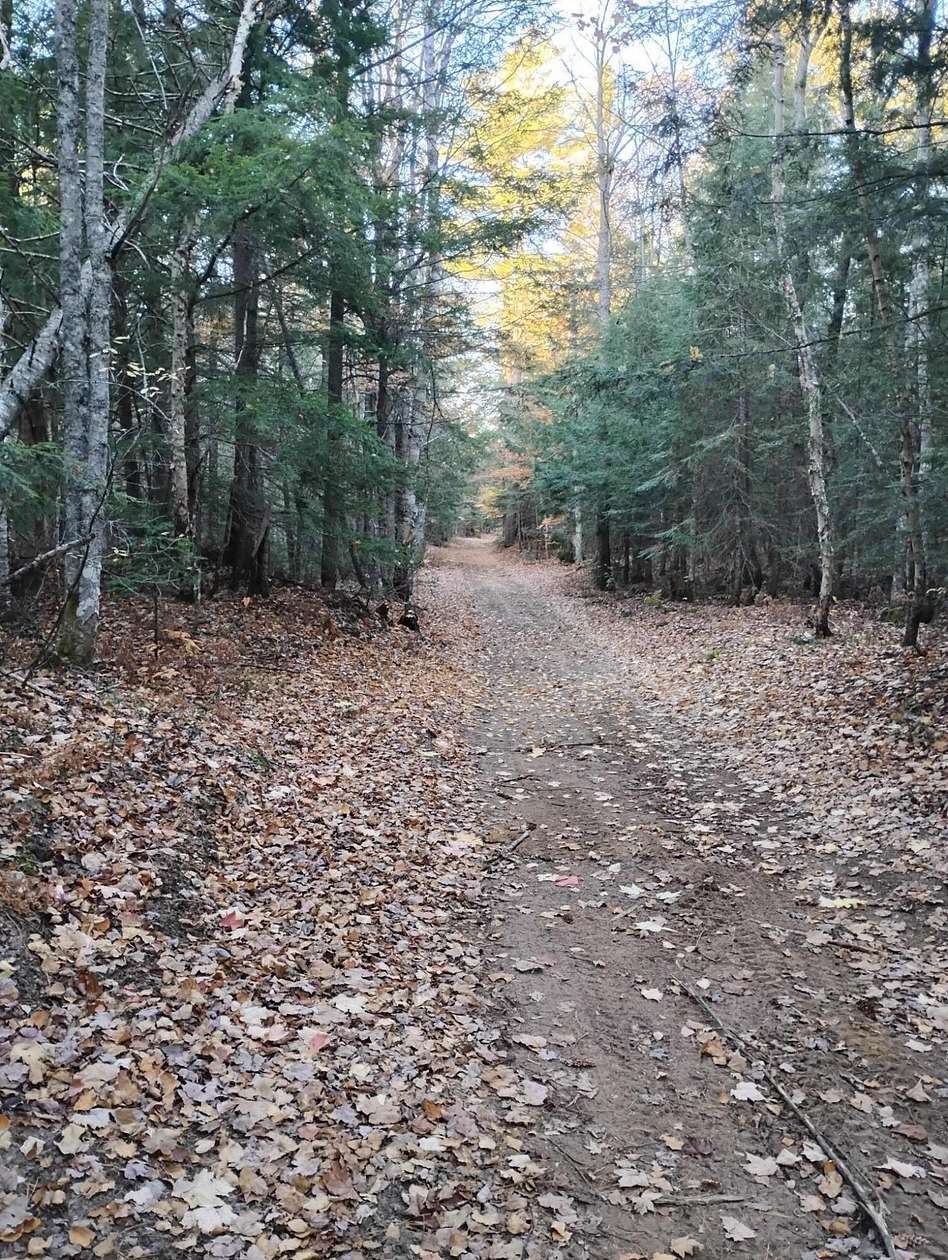 20 Acres of Land for Sale in Paradise, Michigan
