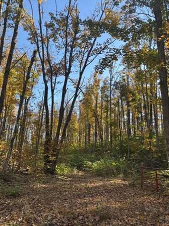 10 Acres of Land for Sale in Vanderbilt, Michigan