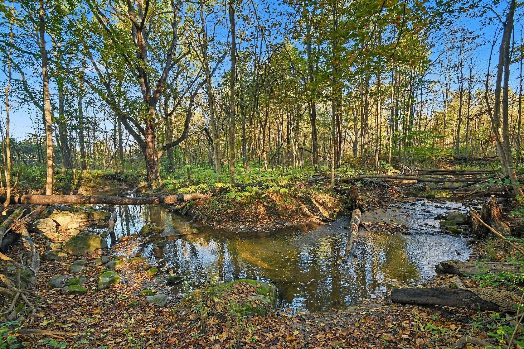 7 Acres of Residential Land for Sale in Eau Claire, Michigan