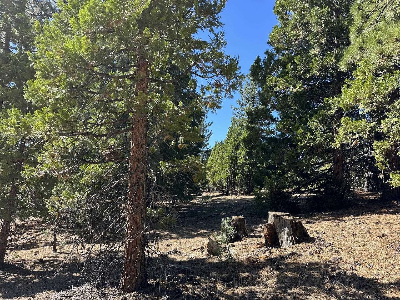 11.1 Acres of Land for Sale in Portola, California