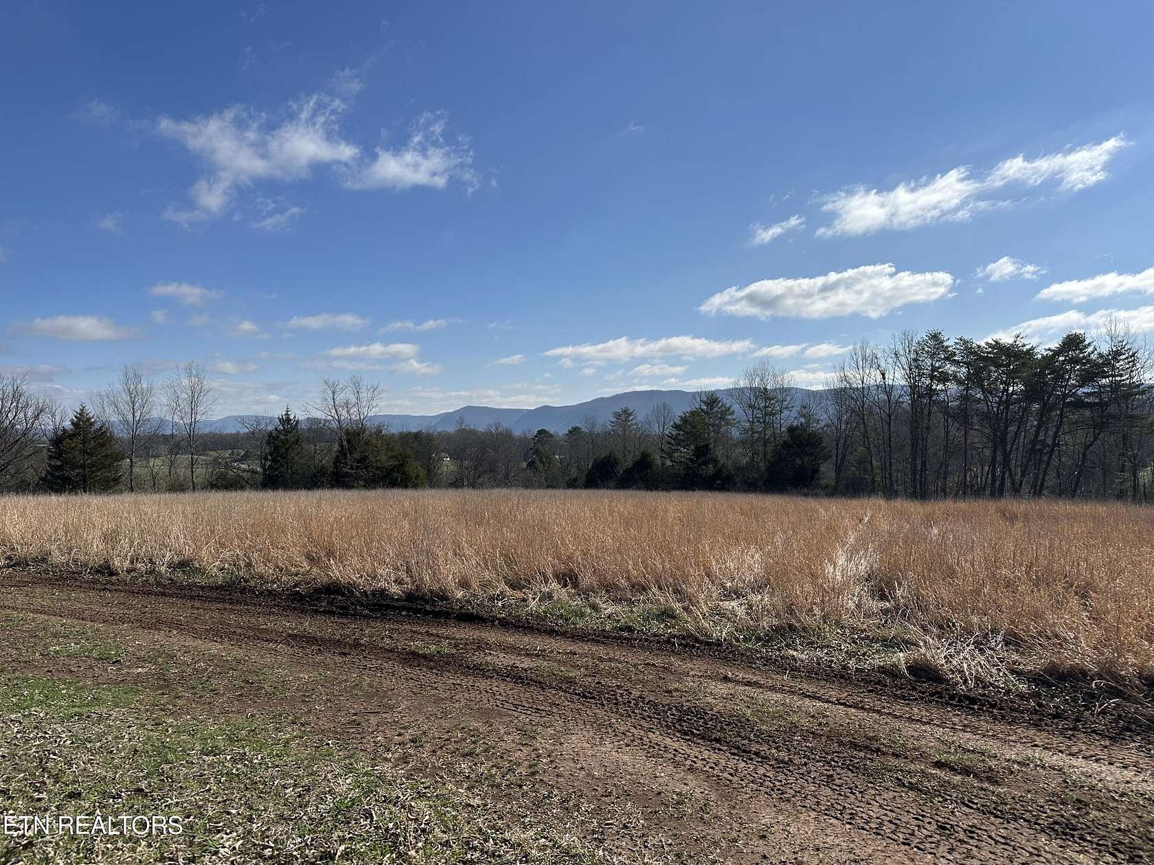 40 Acres of Land for Sale in Pikeville, Tennessee