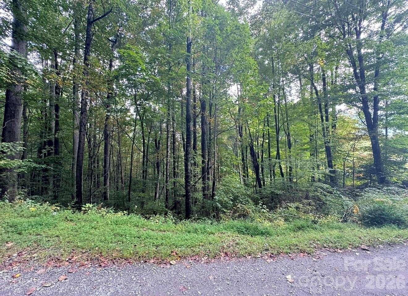1 Acre of Land for Sale in Waynesville, North Carolina