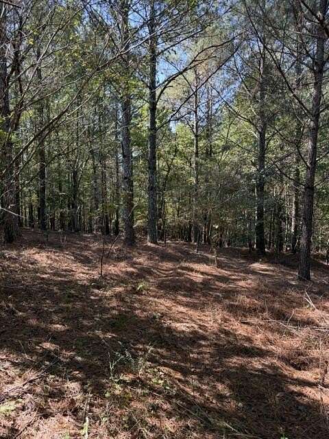 11.7 Acres of Land for Sale in Cohutta, Georgia