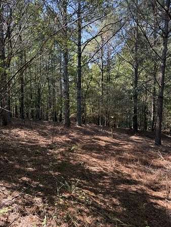 11.7 Acres of Land for Sale in Cohutta, Georgia