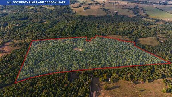 82.5 Acres of Recreational & Residential Land for Sale in Overton, Texas