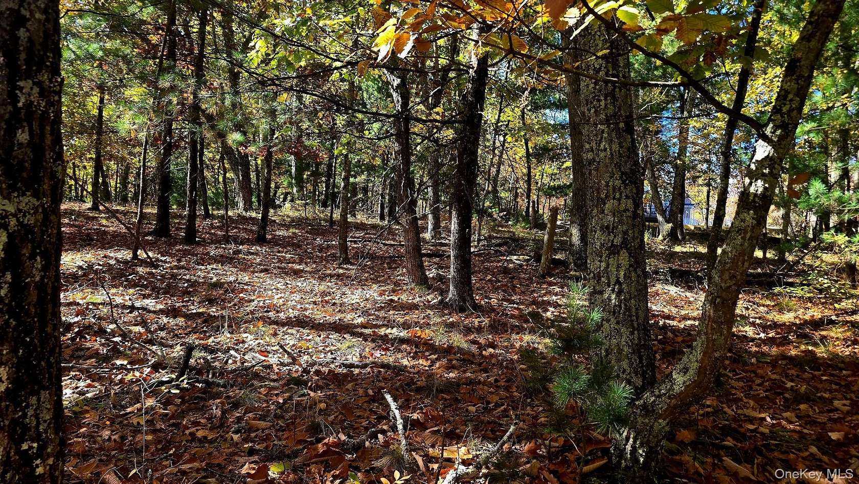 0.46 Acres of Residential Land for Sale in Wurtsboro, New York
