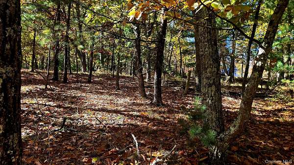 0.46 Acres of Residential Land for Sale in Wurtsboro, New York