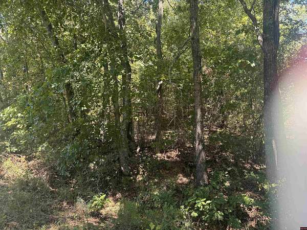 Residential Land for Sale in Bull Shoals, Arkansas