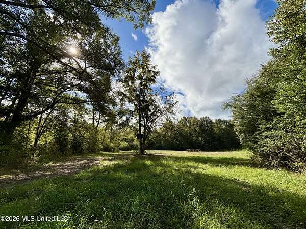 173 Acres of Recreational Land for Sale in Fayette, Mississippi