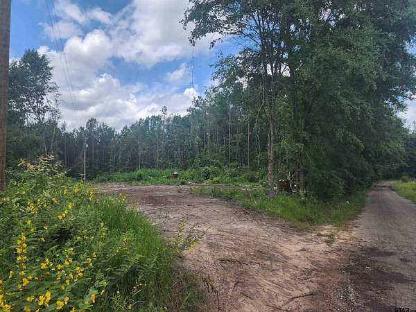12.2 Acres of Land for Sale in Hughes Springs, Texas