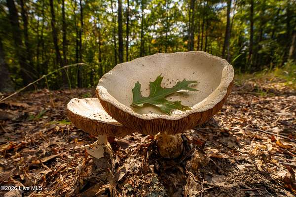 1.1 Acres of Land for Sale in Murphy, North Carolina