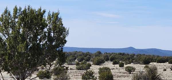 39 Acres of Recreational Land for Sale in Ash Fork, Arizona