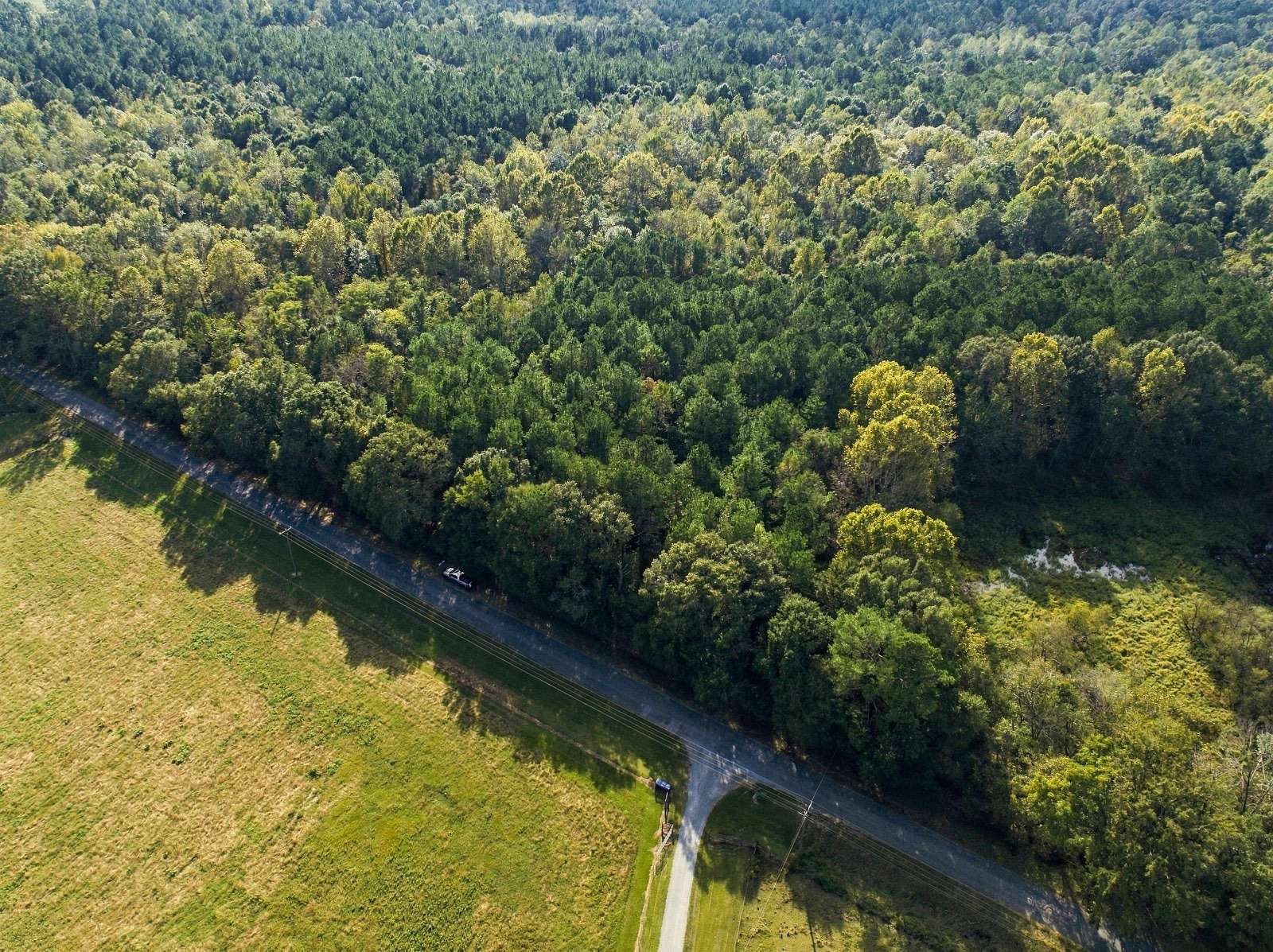 139 Acres of Recreational & Residential Land for Sale in Glenwood, Alabama