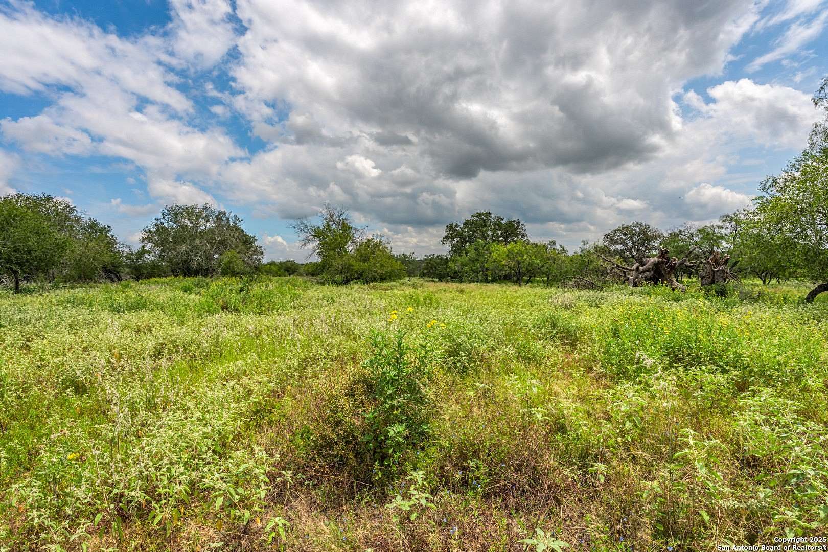 10.5 Acres of Land for Sale in Natalia, Texas