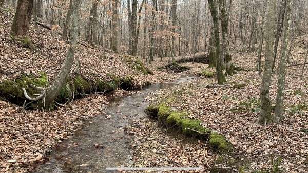 34.4 Acres of Land for Sale in Iron City, Tennessee