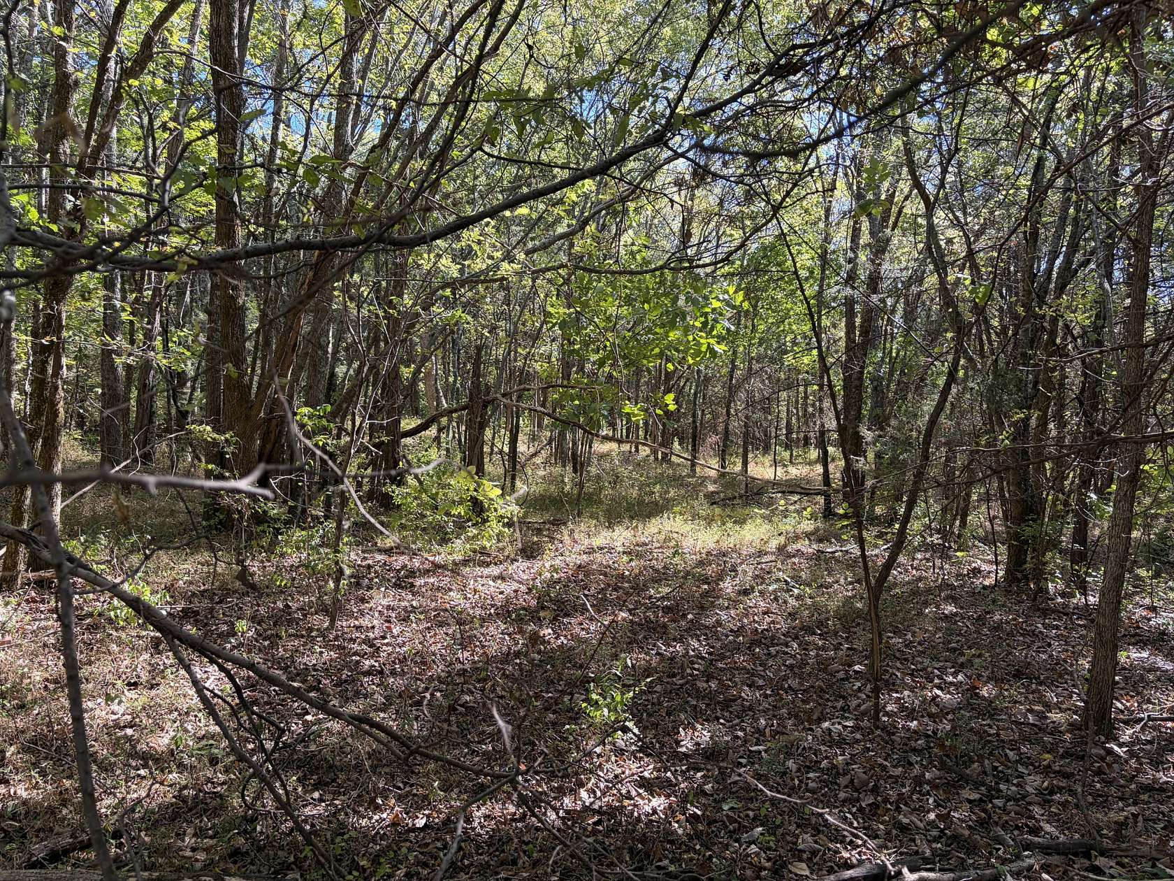 14 Acres of Land for Sale in Nolensville, Tennessee