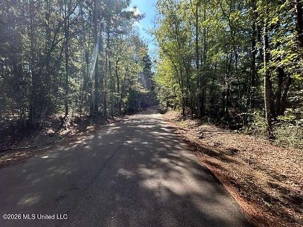 18 Acres of Land for Sale in Franklinton, Louisiana