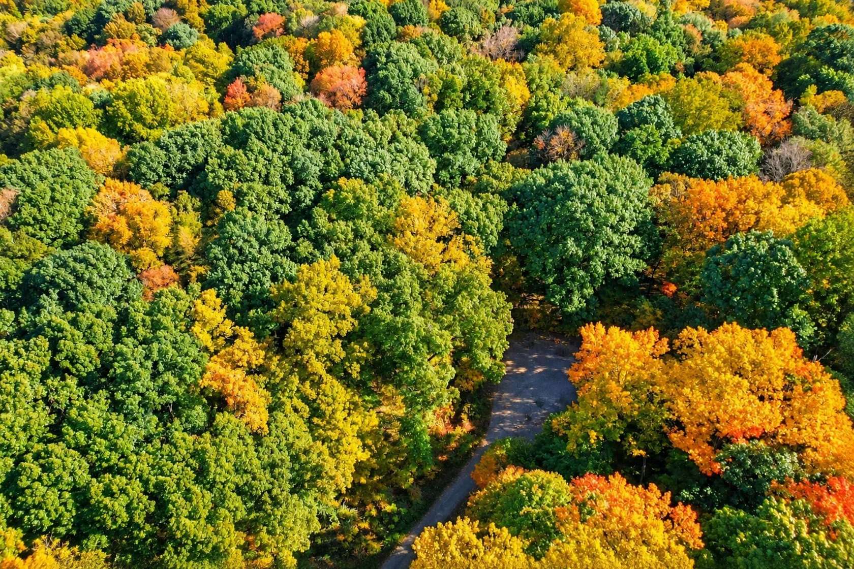 1.17 Acres of Residential Land for Sale in Niles, Michigan