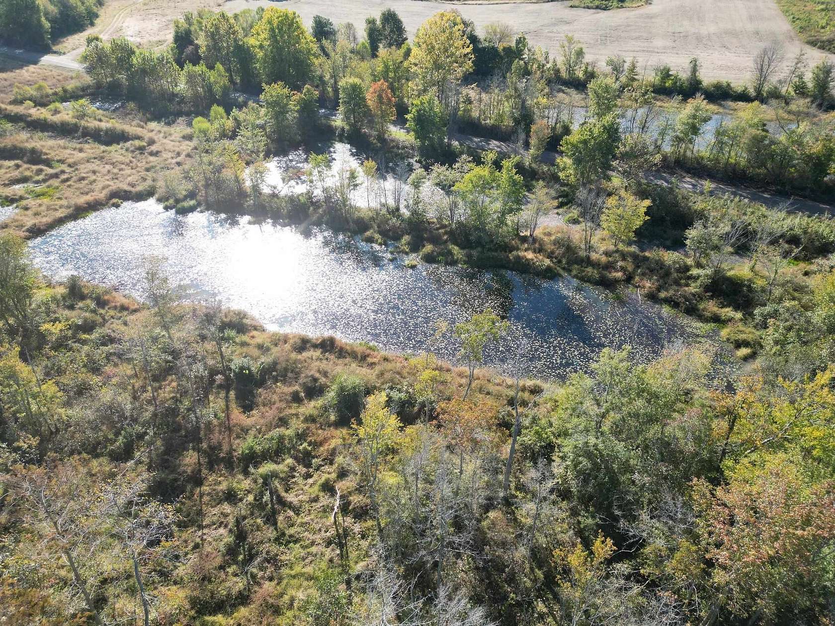 13.1 Acres of Land for Sale in Medon, Tennessee